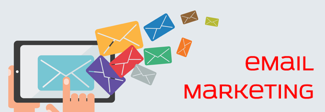 Email Marketing  Newsletter